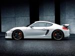 Porsche Cayman S by TechArt 2013 года
